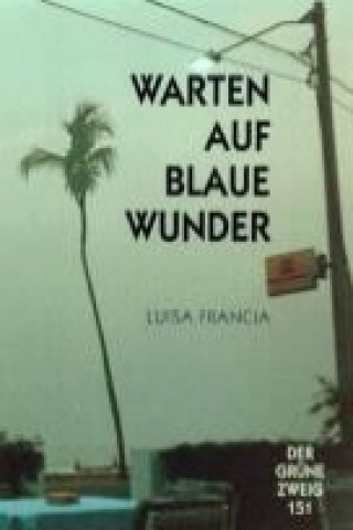 Kniha Warten auf blaue Wunder Luisa Francia