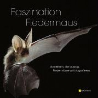 Könyv Faszination Fledermaus Bernd Stein