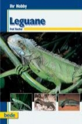 Libro Ihr Hobby Leguane Fred Taucher