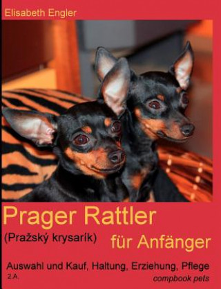 Könyv Prager Rattler (Prazský krysarík) für Anfänger Elisabeth Engler