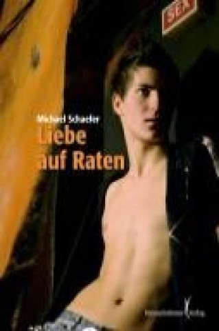 Buch Liebe auf Raten Michael Schaefer