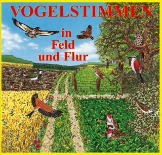 Audio Vogelstimmen 2 in Feld und Flur. CD 