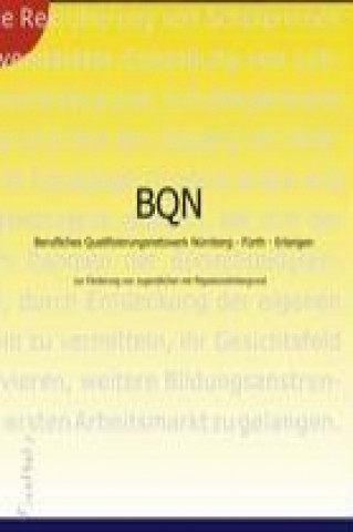 Kniha Berufliches Qualifizierungsnetzwerk Nürnberg-Fürth-Erlangen BQN