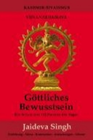 Kniha Göttliches Bewusstsein - Vijnanabhairava Jaideva Singh