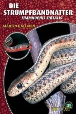 Kniha Die Strumpfbandnatter Martin Hallmen