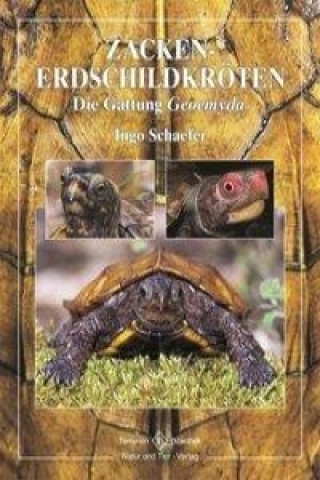 Kniha Zacken-Erdschildkröten Ingo Schäfer