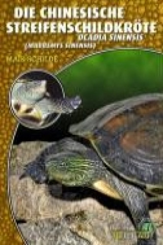 Kniha Die Chinesische Streifenschildkröte Maik Schilde