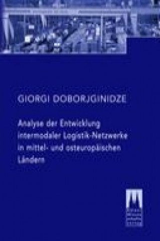 Könyv Doborjginidze, G: Analyse der Entwicklung intermodaler Logis Giorgi Doborjginidze