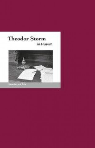 Книга Theodor Storm in Husum Jochen Missfeld
