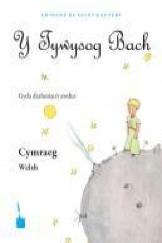 Book Y Tywysog Bach. Cymraeg Antoine de Saint-Exupéry