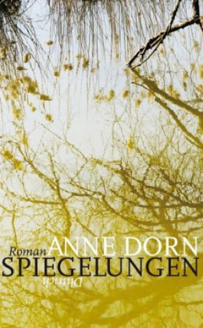 Könyv Dorn, A: Spiegelungen Anne Dorn