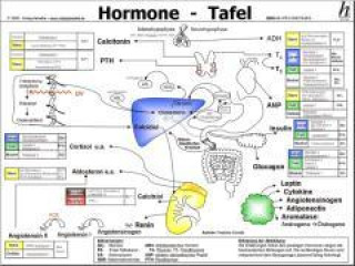Carte Hormone Tafel 