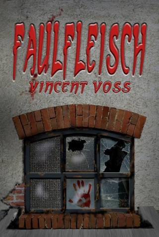 Książka Faulfleisch Vincent Voss