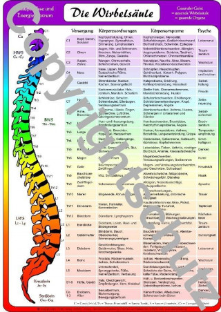 Tlačovina Wirbelsäulenzuordnungen - A3 Tanja Aeckersberg