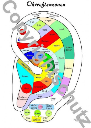 Tiskovina Ohrreflexzonenübersicht Tanja Aeckersberg