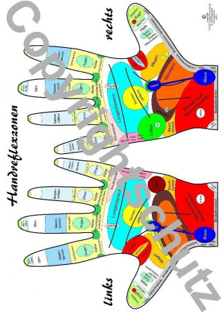 Tiskovina Handreflexzonenübersicht Tanja Aeckersberg