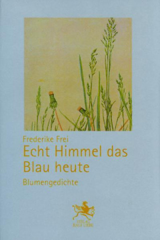 Kniha Echt Himmel das Blau heute Frederike Frei