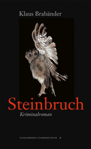 Könyv Steinbruch Klaus Brabänder