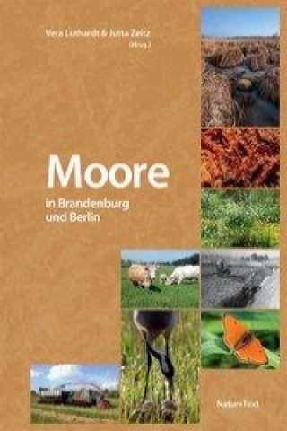 Livre Moore in Brandenburg und Berlin Vera Luthardt