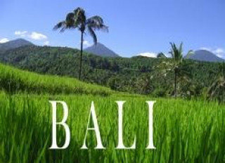 Kniha Bali - Ein Bildband Bart Matthews