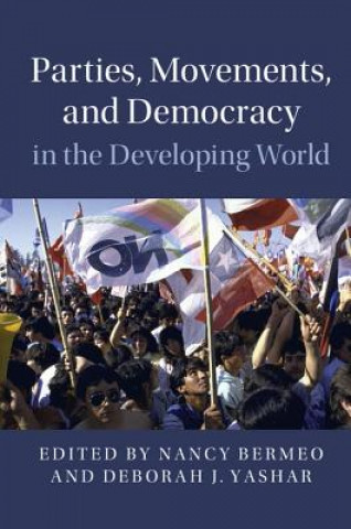 Kniha Parties, Movements, and Democracy in the Developing World Nancy Bermeo
