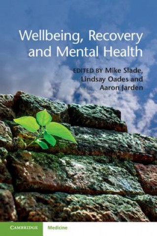 Knjiga Wellbeing, Recovery and Mental Health Mike Slade