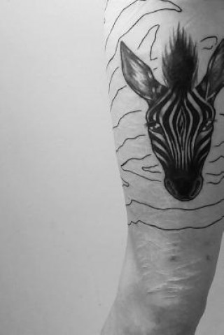 Knjiga Scars and Stripes Lacey Doyle