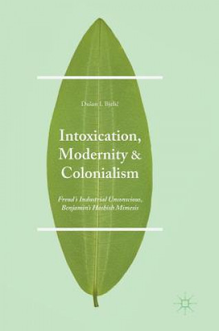 Könyv Intoxication, Modernity, and Colonialism DuSan I. Bjelic