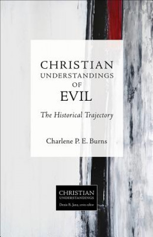 Kniha Christian Understandings of Evil Charlene P. E. Burns