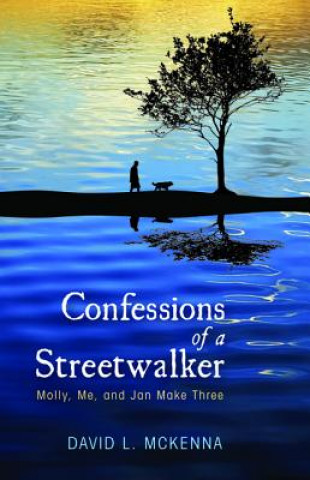 Kniha Confessions of a Streetwalker David L. McKenna