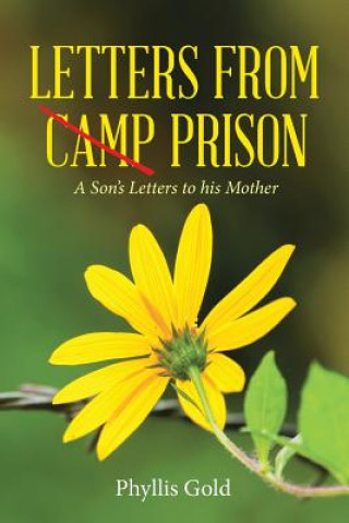 Книга Letters from Camp Prison Phyllis Gold