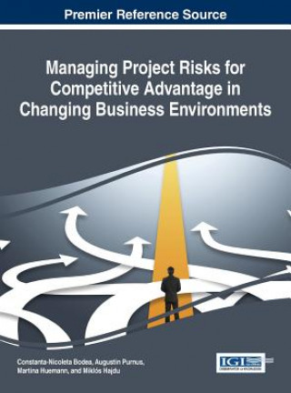 Kniha Managing Project Risks for Competitive Advantage in Changing Business Environments Constanta-Nicoleta Bodea