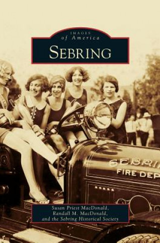 Книга Sebring Susan Priest MacDonald