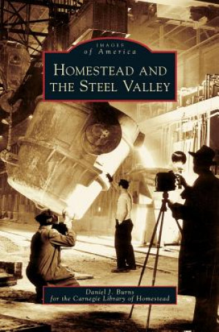 Книга Homestead and the Steel Valley Daniel J. Burns