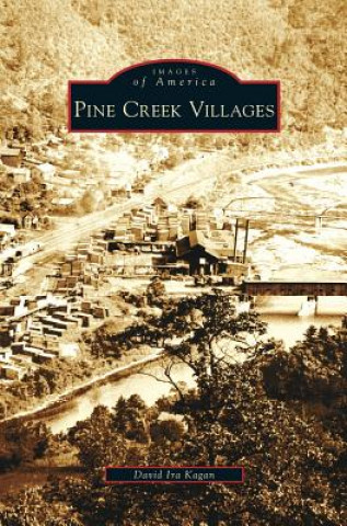 Libro Pine Creek Villages David Ira Kagan