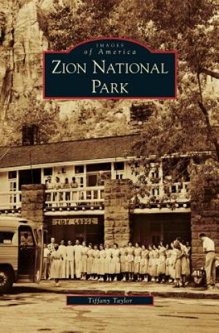 Könyv Zion National Park Tiffany Taylor