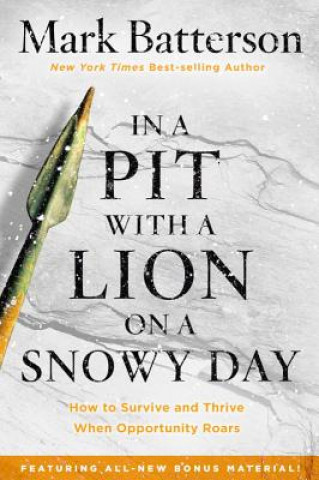Carte In a Pit with a Lion on a Snowy Day Mark Batterson