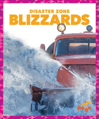 Carte Blizzards Cari Meister