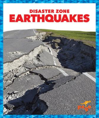Könyv Earthquakes Cari Meister