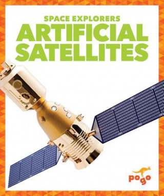 Book Artificial Satellites Jennifer Fretland VanVoorst