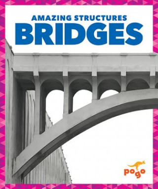 Kniha Bridges Rebecca Pettiford