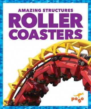 Könyv Roller Coasters Rebecca Pettiford