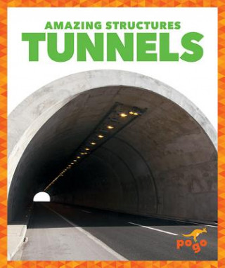 Kniha Tunnels Rebecca Pettiford