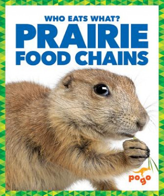 Książka Prairie Food Chains Rebecca Pettiford