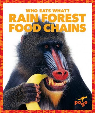 Könyv Rain Forest Food Chains Rebecca Pettiford