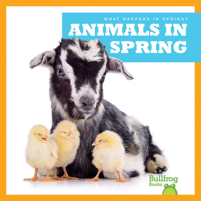 Knjiga Animals in Spring Jennifer Fretland VanVoorst
