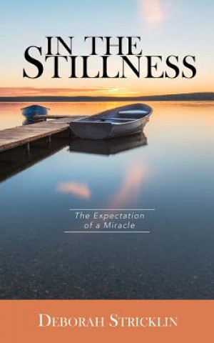 Book In the Stillness Deborah Stricklin