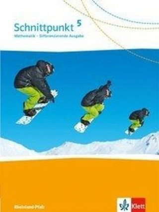 Könyv Schnittpunkt Mathematik. 6. Schuljahr. Arbeitsheft mit Lösungsheft und Lernsoftware. Differenzierende Ausgabe. Rheinland-Pfalz 