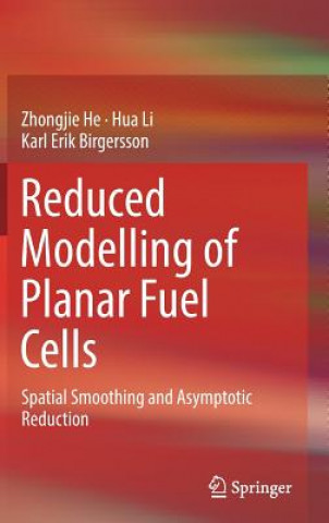 Könyv Reduced Modelling of Planar Fuel Cells Zhongjie He