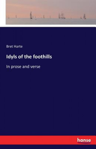 Kniha Idyls of the foothills Bret Harte